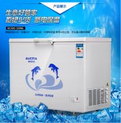 便利店冷柜的使用具有哪些優(yōu)勢