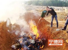冰柜內(nèi)藏大量野生動物 古田男子非法收購野生動